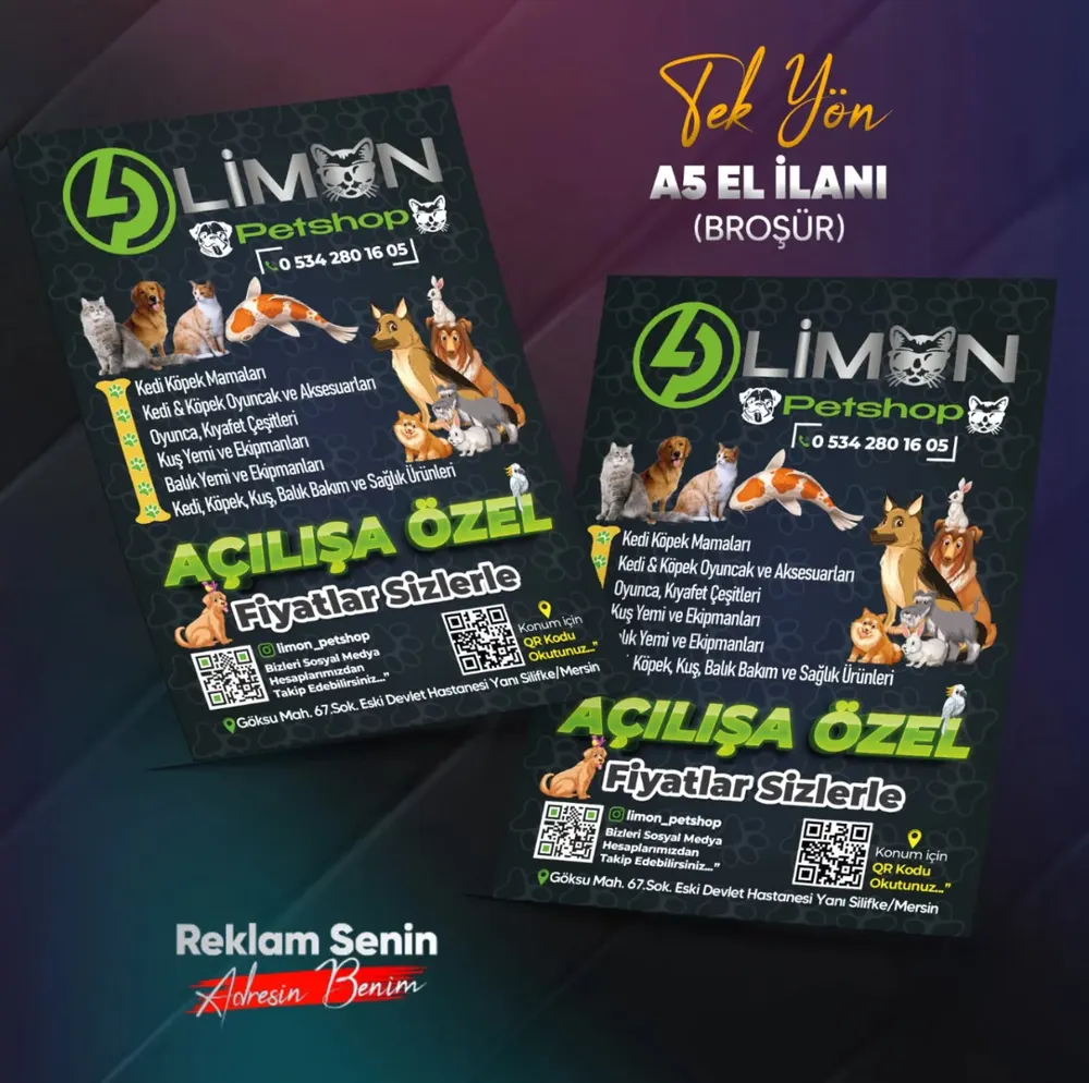 El İlanı A4 115 Gr. Kuşe TEK YÖN Renkli (2000 Adet) - 2